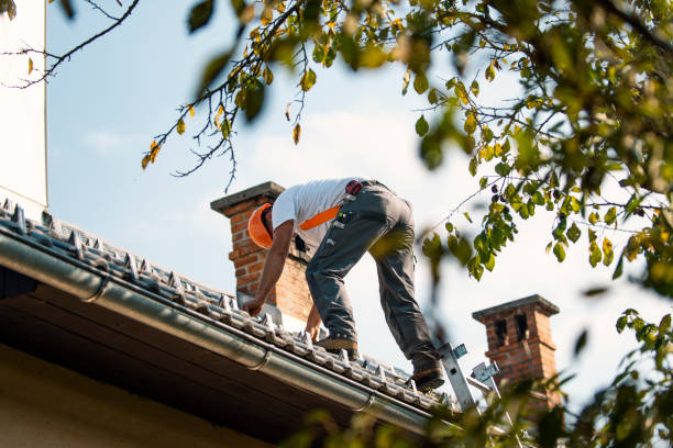 Roof Gutter Cleaning in Pensacola Station, FL