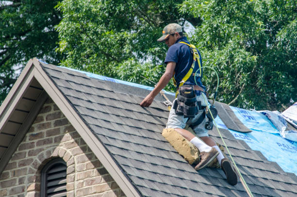 Quick and Trustworthy Emergency Roof Repair Services in Pensacola Station, FL